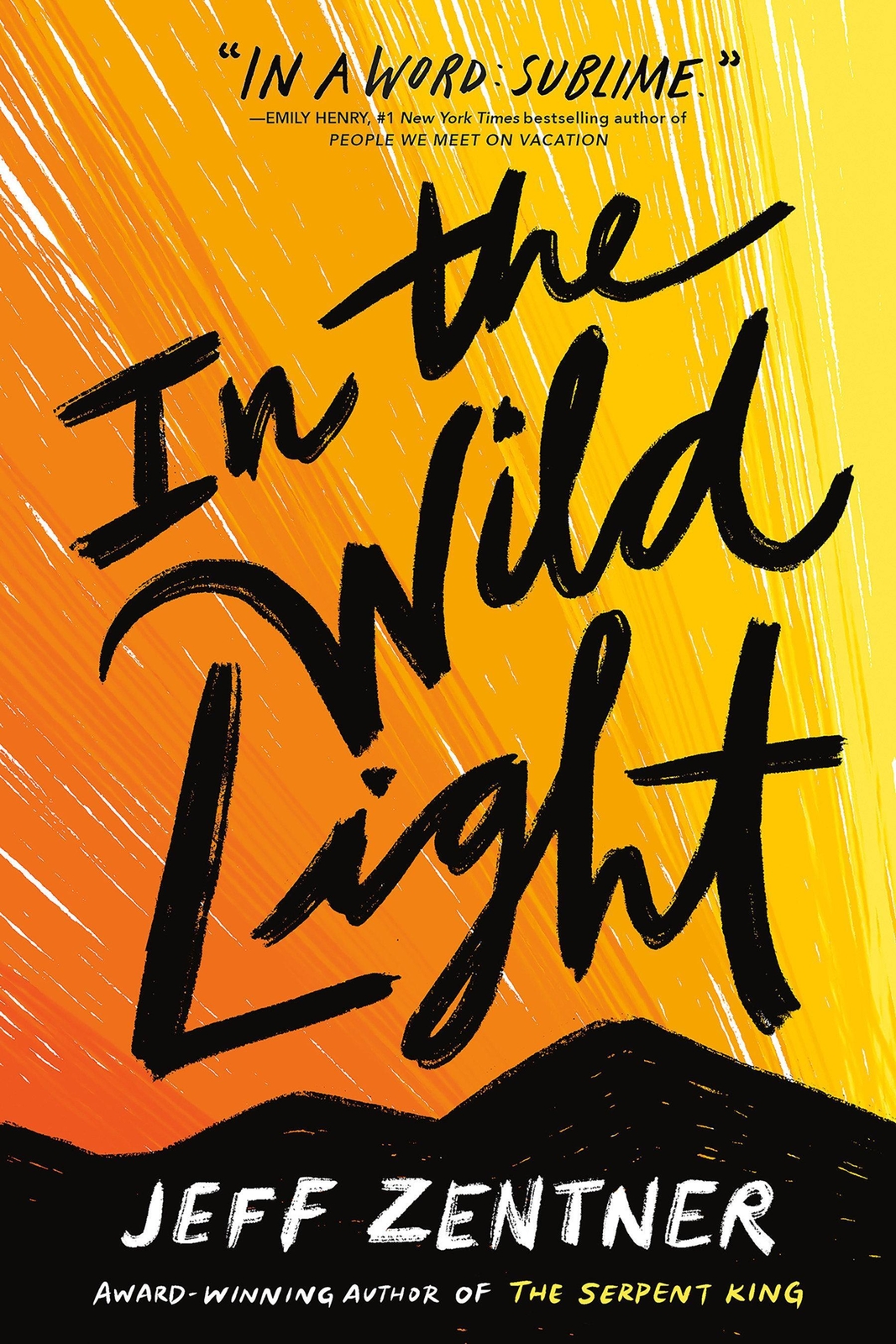 Thumbnail - In The Wild Light | Jeff Zentner | Taschenbuch | Englisch | 2022 |