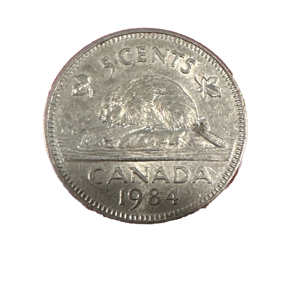 オルゴナイト5点 1984 Canada Canadian Nickel Five Cents Circulated | eBay
