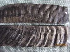 Two 5 in. Rams/Sheep  Horn  knife scales handles plates  lot - 218