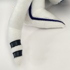 Bild 9 von 11