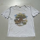 Foto 2 di 9