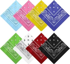 Handepo 16 Pcs Paisley Pattern Bandanas Unisex Head Wrap Square Cowboy Scarf Nec