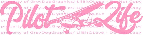 Pilot Life Vinyl Decal Cessna Plane Small Airplane Piloting - Picture 18 of 24