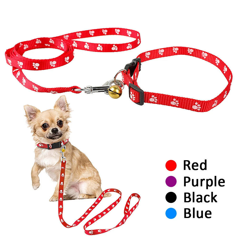 Small puppy 2024 collars and leads