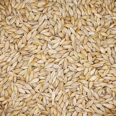 Gerste gestutzt - Gladen 2,5kg Tierfutter