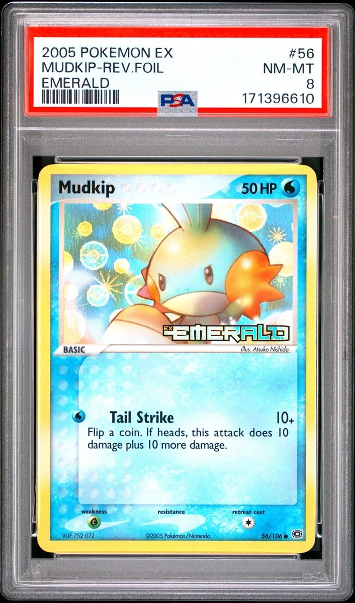 Mudkip