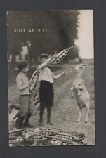 1913 humor postcard giant pea pods, 2 boys & a Billy Goat Galesburg, Illinois rj