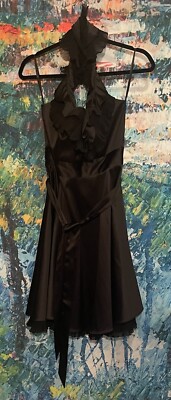 Women s White House Black Market Elegant Dress, Size 4, Holiday Special $19