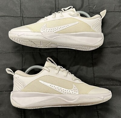 Nike Omni Multi Court Low White Pure Platinum DM9027-100 Kids Size