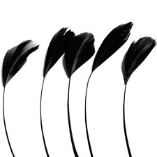 Stripped Coque Diamond Feathers - Long - Millinery Fascinator - Choose Quantity