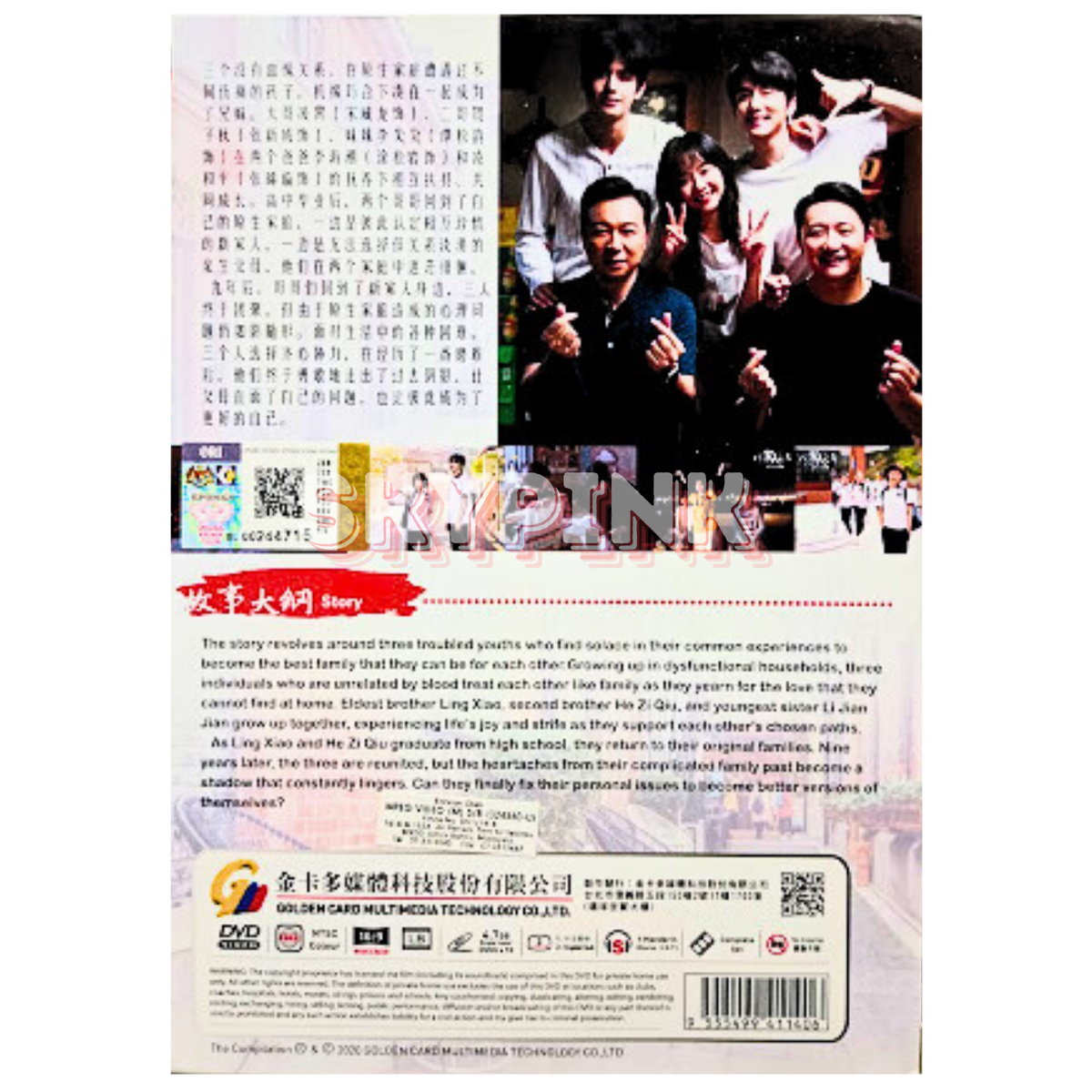 Go Ahead 以家人之名 Eps 1-40END Chinese Drama DVD English