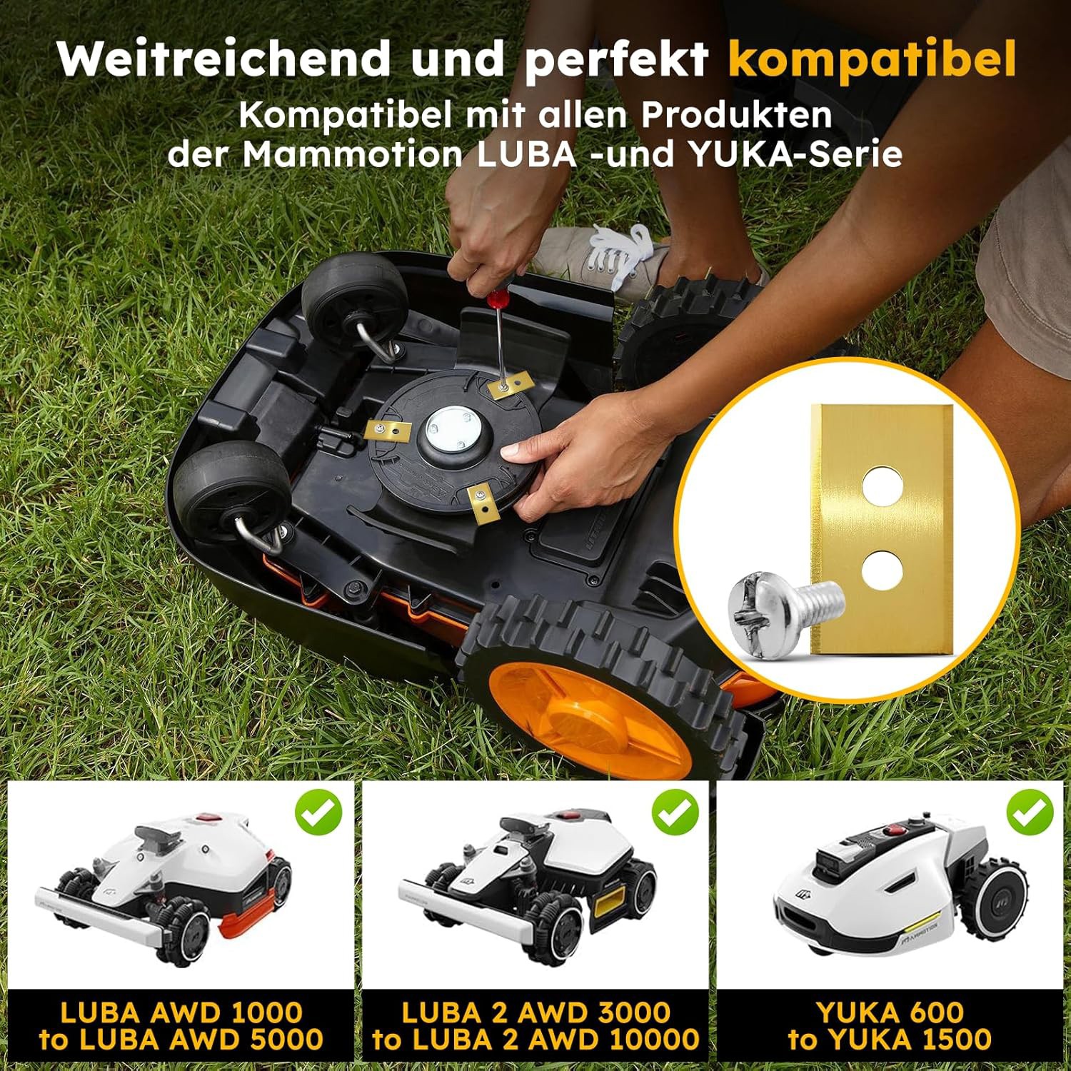 Bild 3 von 11
