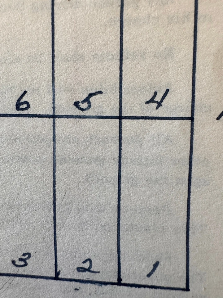 Irving Park Cemetery NW Chicago 4 Plots Side By Side Irving Park Cemetery - Image 2 of 2