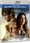 Palmeras en la Nieve (Blu-ray + DVD + Copia Digital, 2016, 2 Discos)