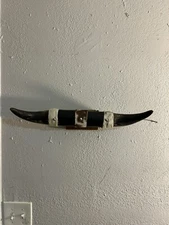 Vintage MOUNTED STEER HORNS