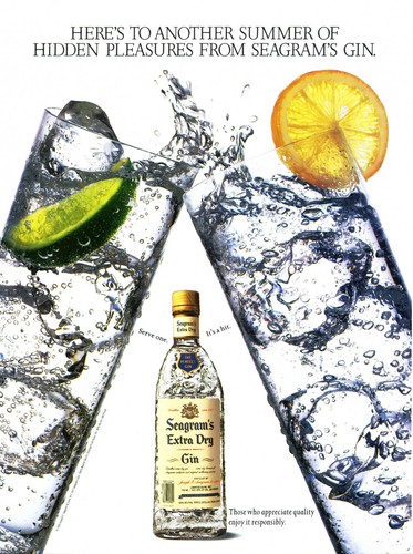 SEAGRAM'S GIN AD #9 RARO 1993 FUORI STAMPA VINTAGE  - Foto 1 di 2
