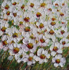 White Daisy Flowers Meadow – Original Oil Painting 10x10