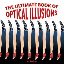 Ultimate Book of Optical Illusions von Seckel, Al | Buch | Zustand gut