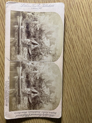 1898 SPORTSMAN'S EXPOSITION antique stereoview photograph BOSTON Native American - Picture 3 of 4