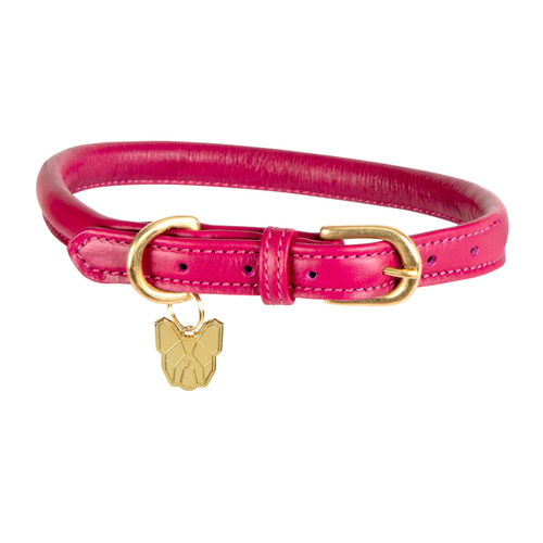Shires Digby & Fox Rolled Leather Dog Collar - 第 14/28 張圖片
