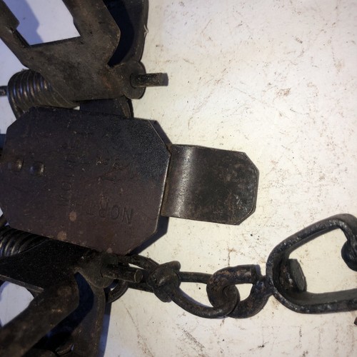 Lot of 7 Vintage Northwoods No 1 1/2 Coil spring Traps Round Jaws Muskrat Nice eBay