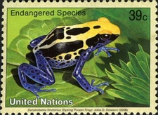 UN New York #Mi1018 MNH 2006 Dyeing Poison Frog Dendrobates tinctorius [911]