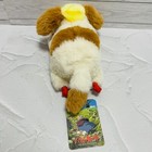 Picture 9 of 21