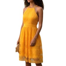 Tahari ASL On My Mind Lace Dress Fit Flare Yellow Spring Brunch Wedding Size 4