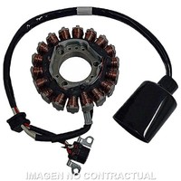 Stator SGR Trifase 18 Pol Mit Pick-Up Yamaha 250 FüR Motorrad