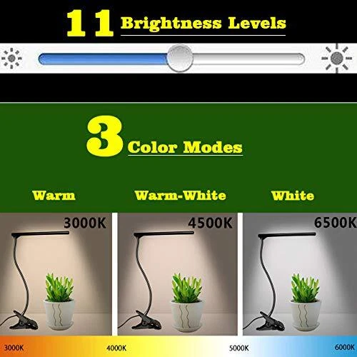 Cesunlight sale