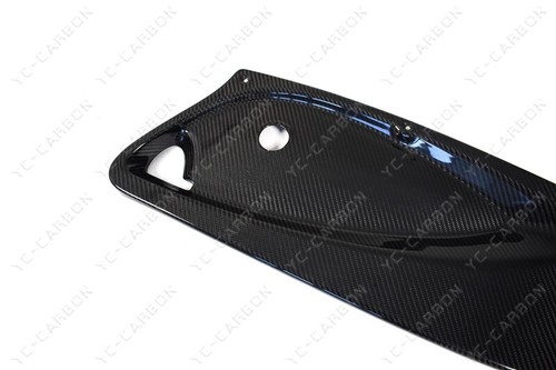 DRY CARBON For 04-11 Lotus Exige S2 Elise S2 Inner Door Card Panel Replacement - Bild 17 von 18