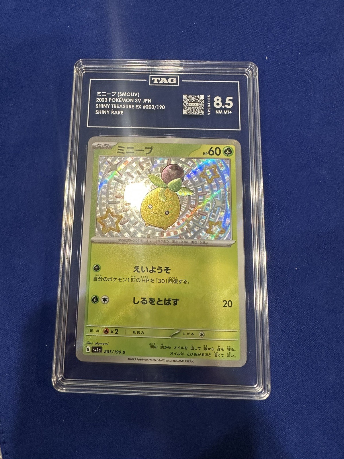 Smoliv 203/190 Sv4a: Shiny Treasure  Holo (Japanese) - Pokemon TCG - NM