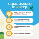 Foto 6 di 10