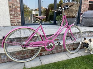 pashley ebay