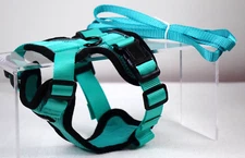 Rabbitgoo Cat Harness and Leach Adjustable Vest Reflective Straps Emerald XS
