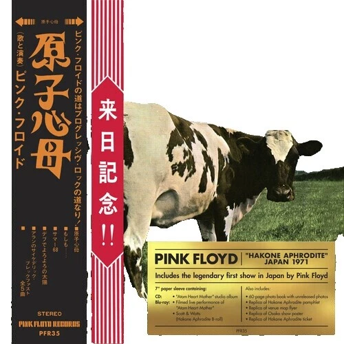 Pink Floyd Rock Psychedelic Rock Music CDs