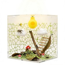 Jumping Spider Habitat Decor Kit with Platforms, Hideouts Accessories