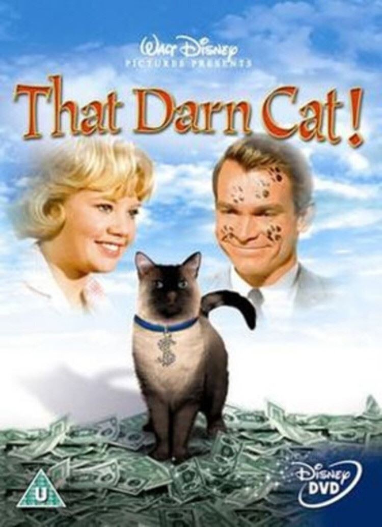That Darn Cat! [U] DVD