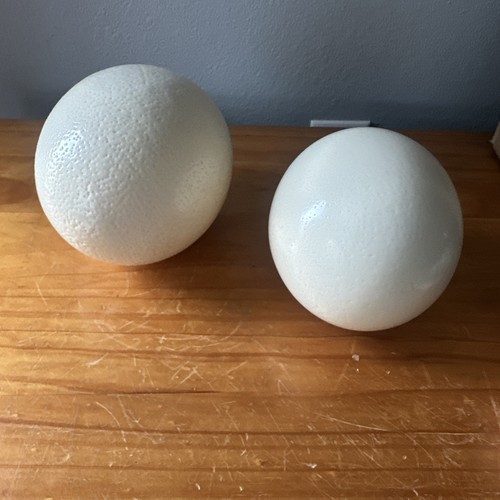 Pair (2) Genuine Ostrich Egg Shells for Craft Art Decoration