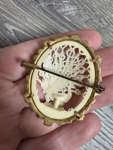 Antique Art Deco Oval Carved Celluloid Peacock Bird Feather Brooch Pin Bin C - Afbeelding 2 van 2