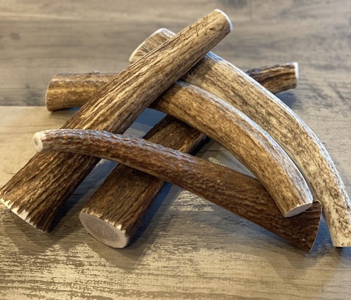 (3 PACK) X-LARGE Elk/Deer Antler Premium Dog Chews **OREGON ANTLER WORKS** - Picture 3 of 6
