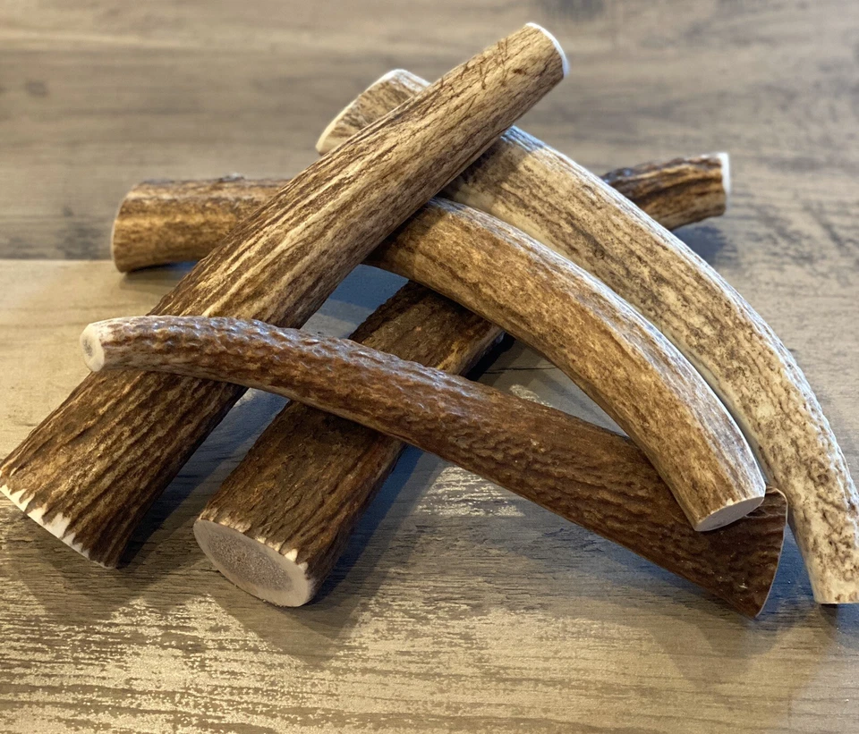 (3 PACK) X-LARGE Elk/Deer Antler Premium Dog Chews **OREGON ANTLER WORKS** - Image 3 of 4