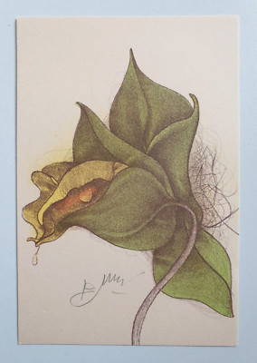 Bruno Bruni, Limited Hand Signed Original Lithograph Orchidea I, Orchid