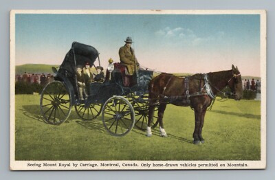 Mount Royal Carriage Horse Dawn Montreal Canada Vintage Postcard