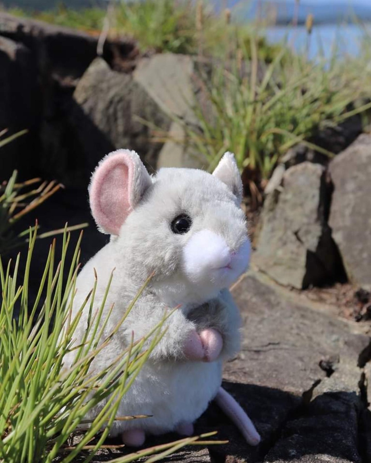 Monty 5.5" Mouse Douglas Gray Plush Stuffed Animal Field Rodent Vermin Cuddle