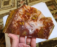 Large Slab Oregon Plume Agate Jasper Agate For Cabbing or Display Lapidary 207gm
