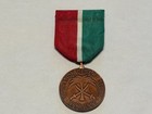 Original Desert Storm Gulf War US New Jersey State Service Medal Rim No 2198 — photo 1
