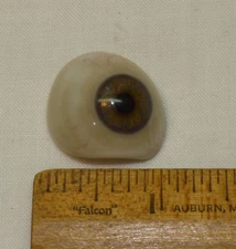 Vintage Antique Human Prosthetic Eye Artificial Eyeball Glass Old Lot C