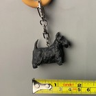 Foto 3 di 8