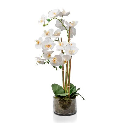 Weiße künstliche Orchidee Pflanze Tranparent Topf 60 cm Real Touch Blütenblätter